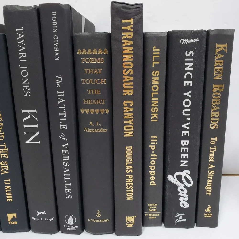 Shelf Staging Library Modern Decorative Black Silver Hardcover Books Set Lot 12